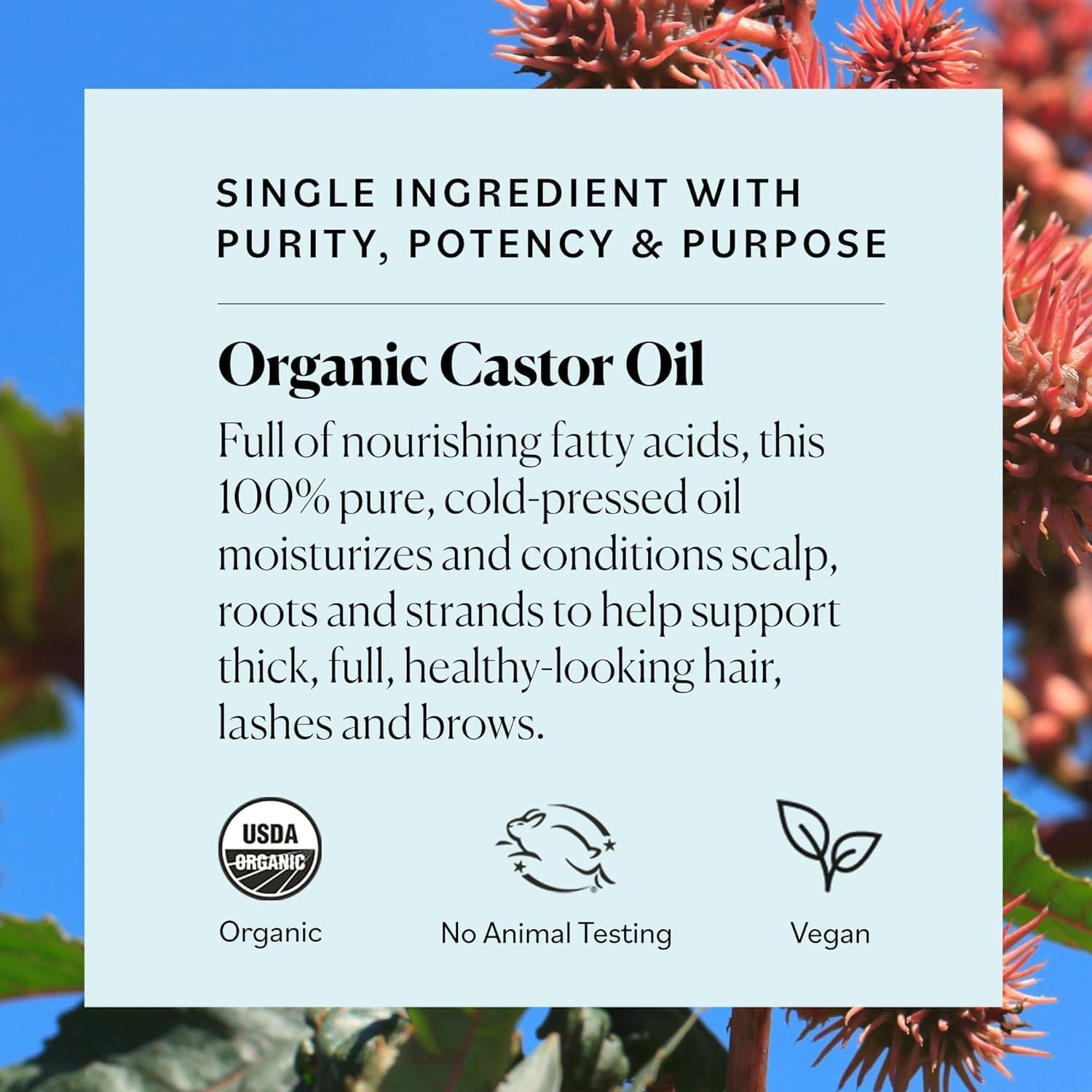 Sky Organics cold-pressed castor oil preserves natural vitamins and antioxidants.