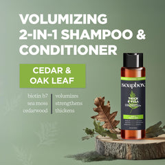Soapbox 2-in-1 bottle pour highlights quick, efficient daily wash for busy mornings.