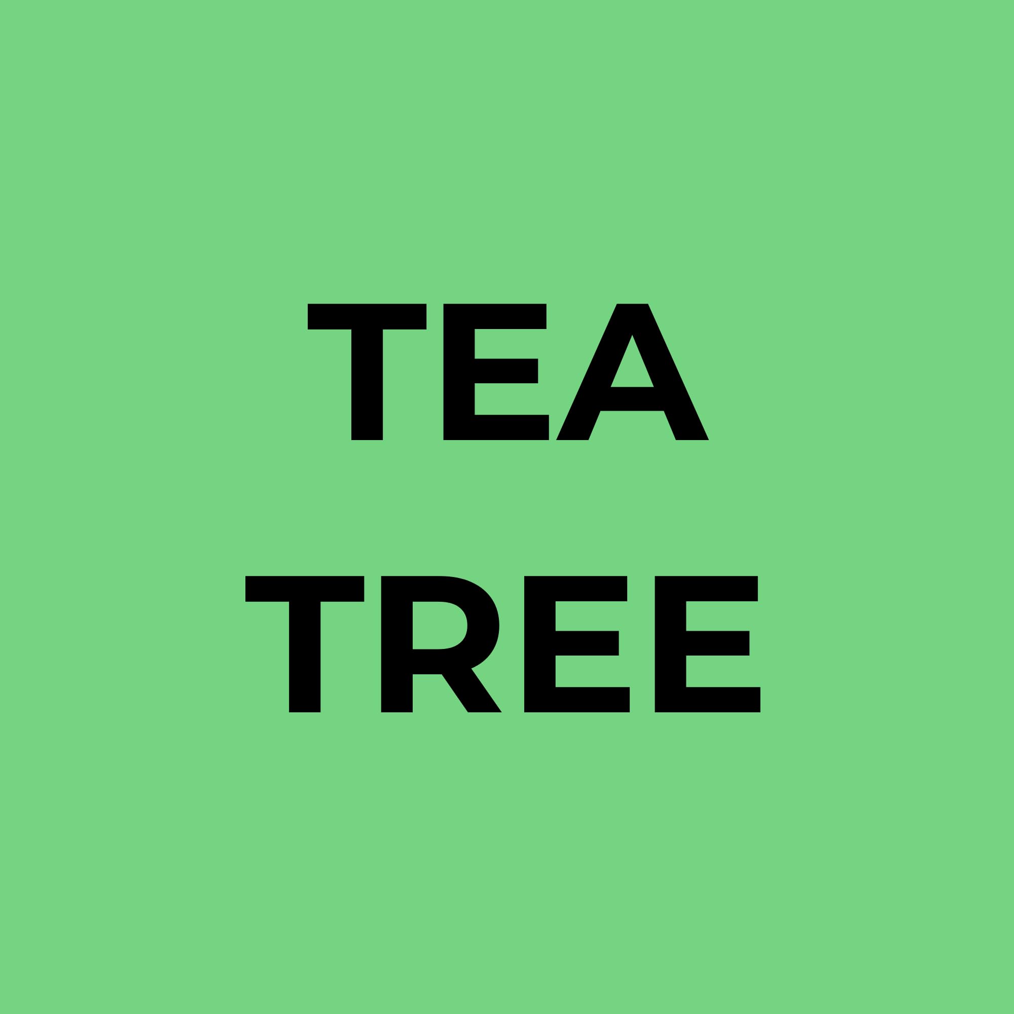 Soapbox Tea Tree duo shown in a clean shower routine for daily refresh