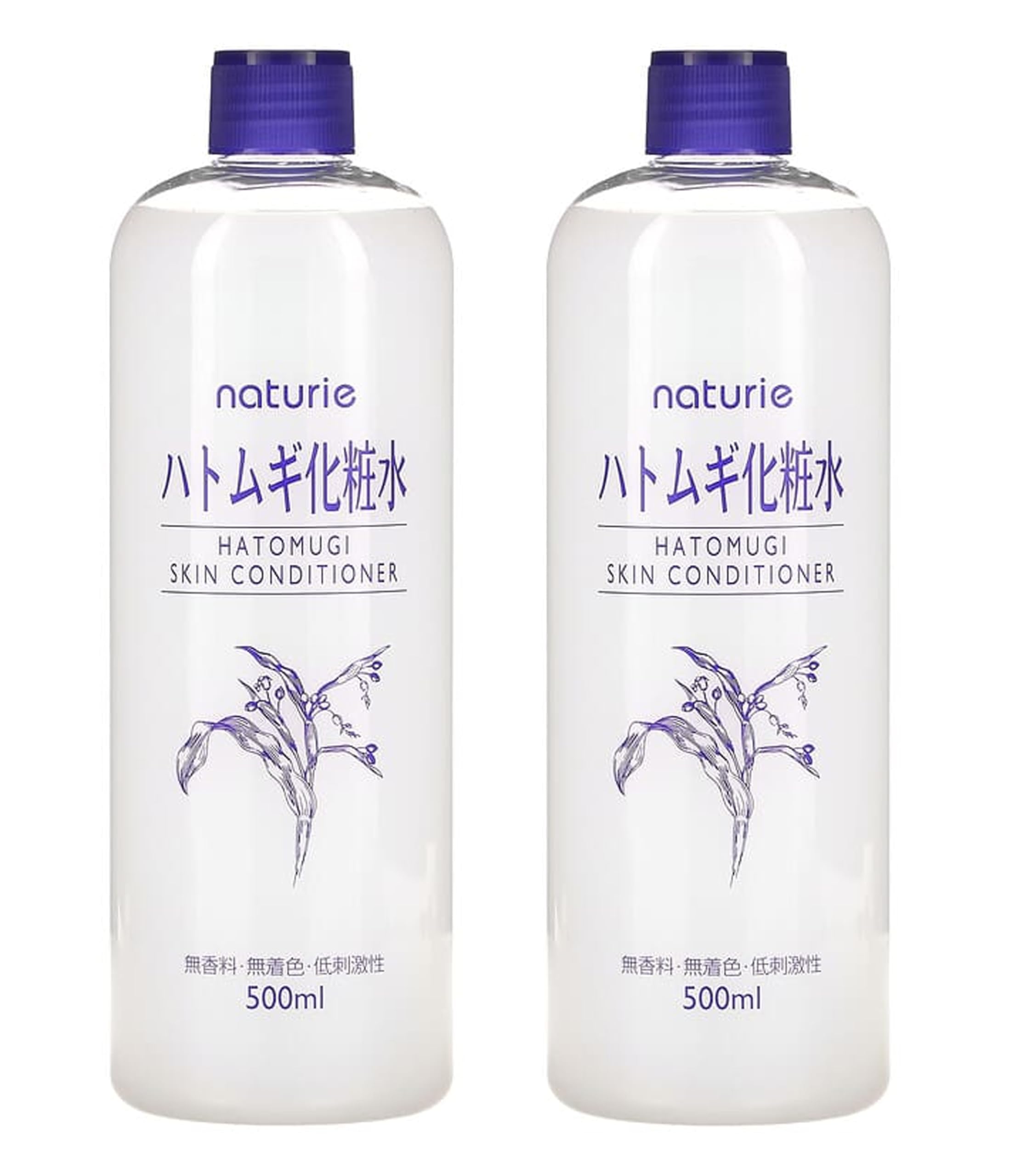 SOFIA BY ODE Naturie Adlay bottle pour shows lightweight hydration