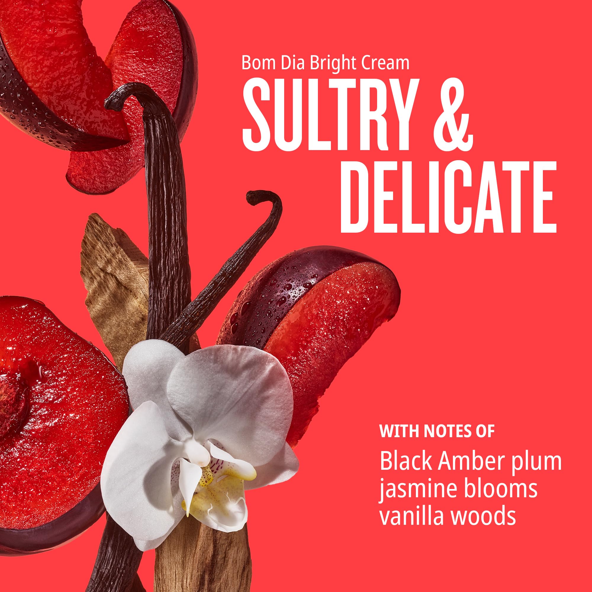 Sol de Janeiro Bum Bum Cream and Bom Dia Bright Cream duo.