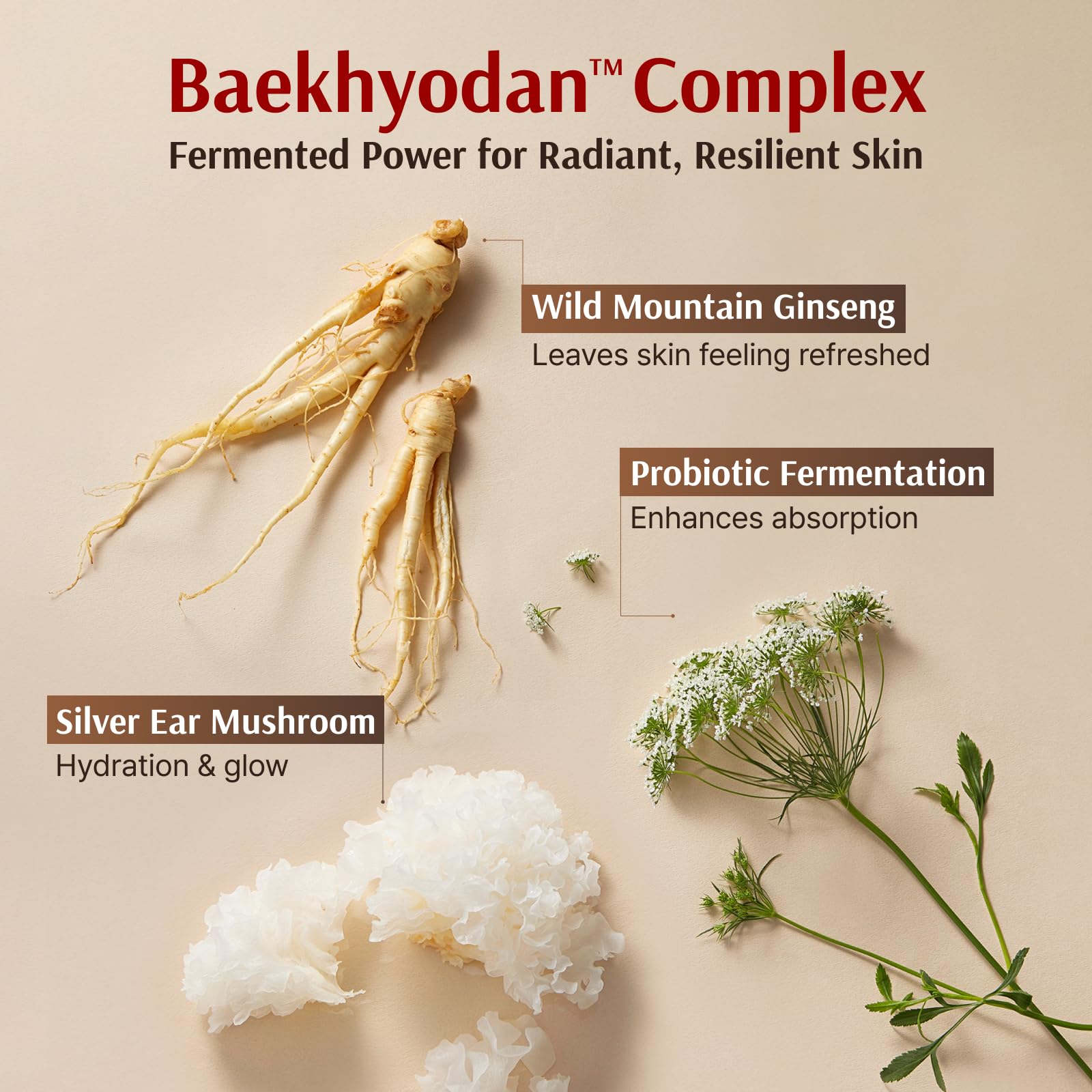 Sooryehan gift set packaging showcases premium Korean ginseng skincare.