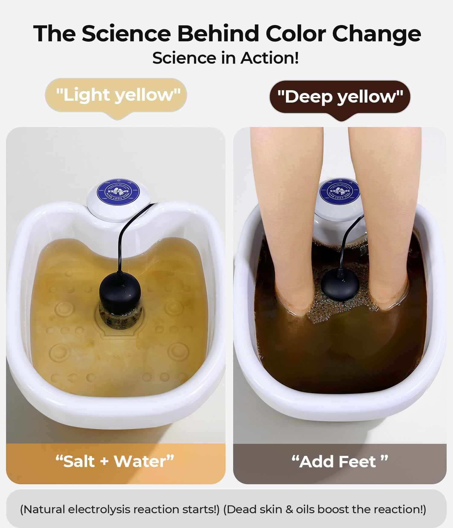 SPATOES Upgraded durable basin for reliable home sessions