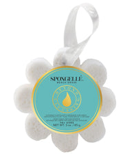 Spongellé Beach Grass Wild Flower Buffer packaging ready for exfoliation