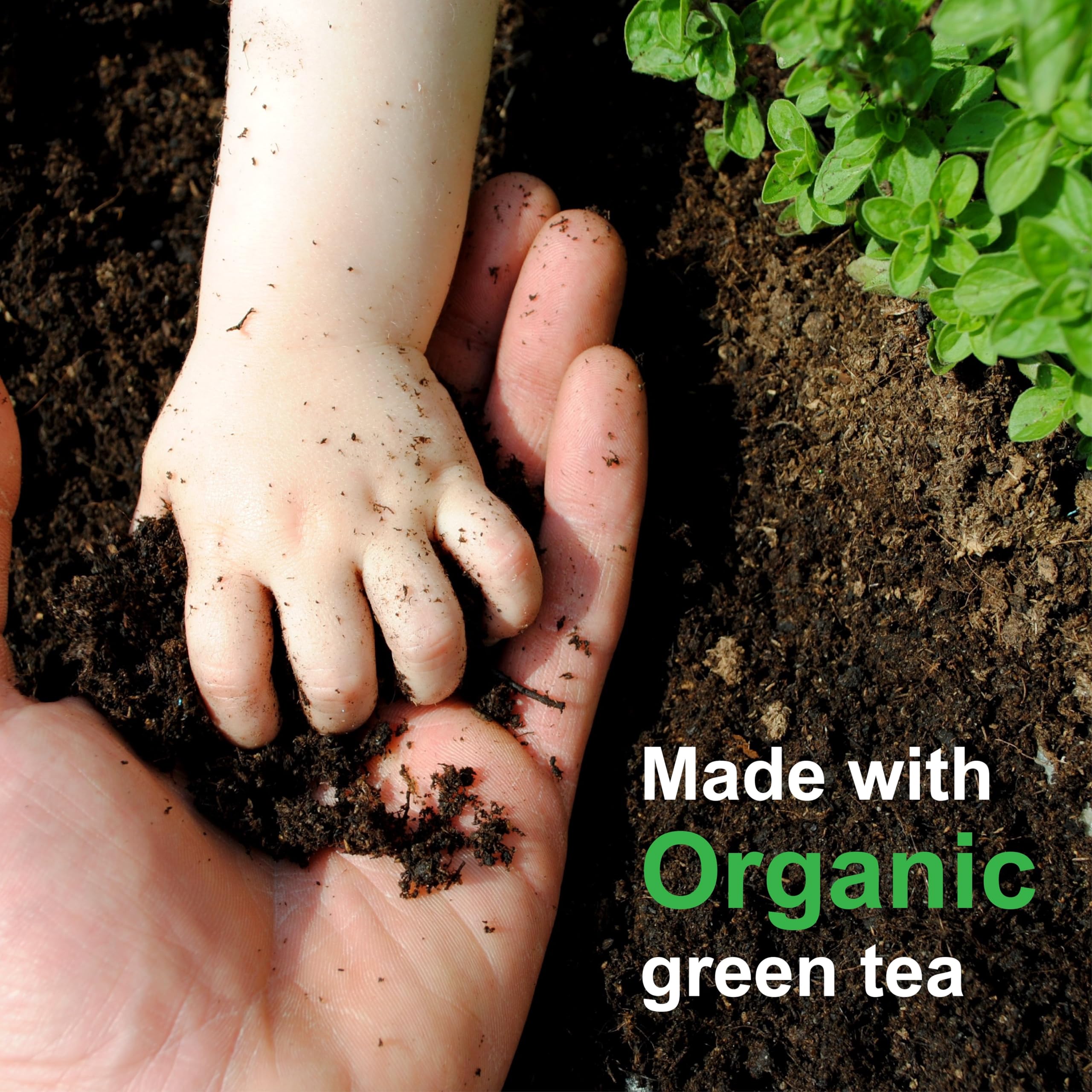 St. Croix Green Tea Extract texture closeup hints at alcohol-free formula.