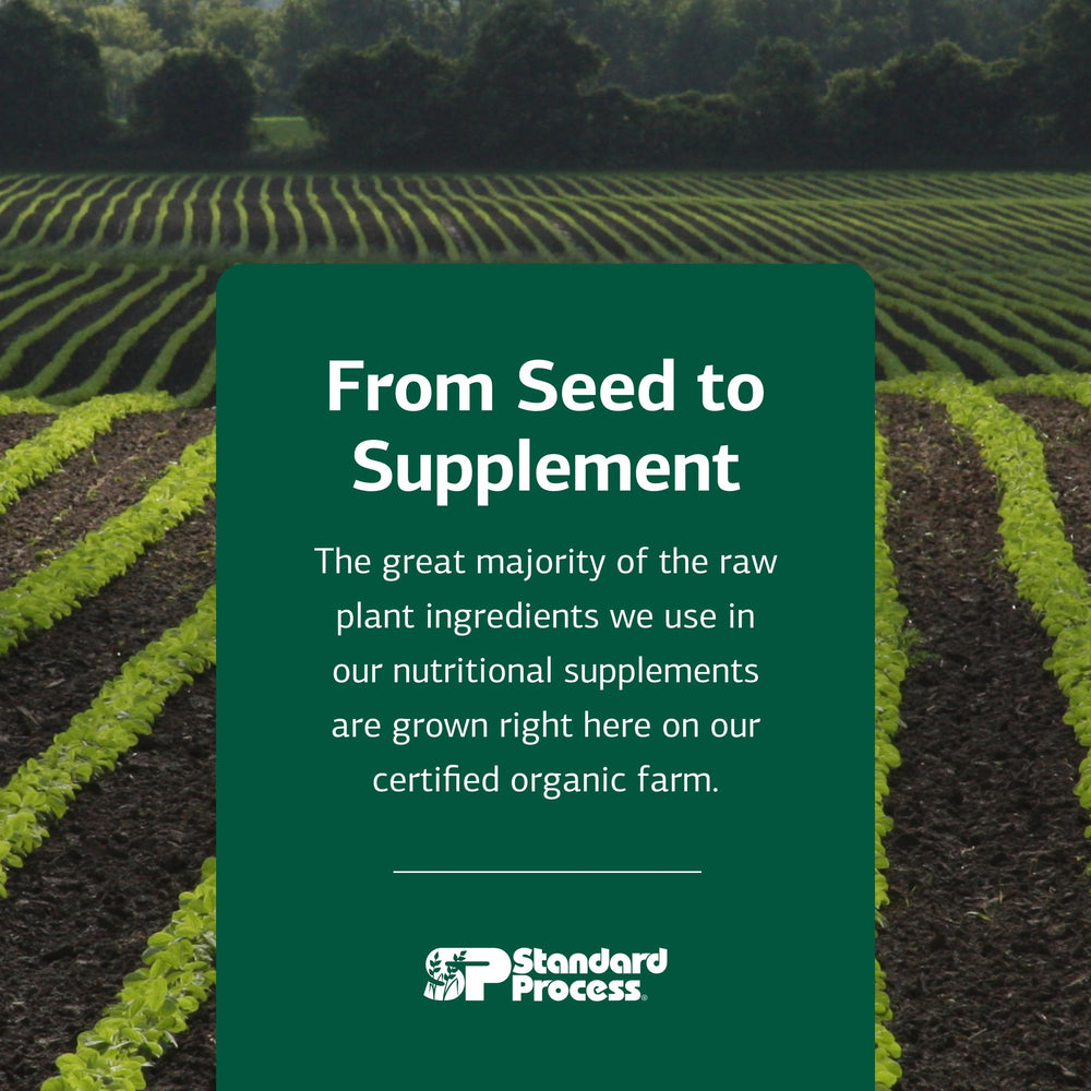 Standard Process Zymex carrots beets photo emphasizes whole-food base ingredients used.