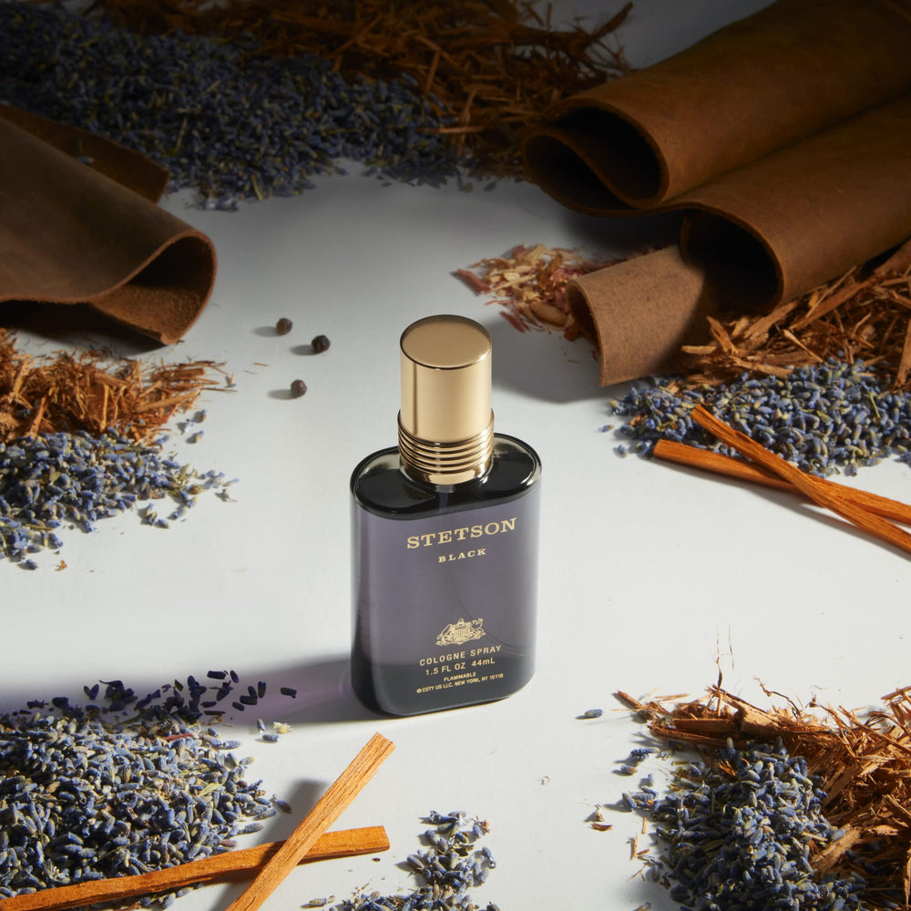 Stetson Black packaging image suggests a refined gift-ready option
