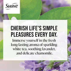 Suave White Tea & Lavender foaming lather in a relaxing bath