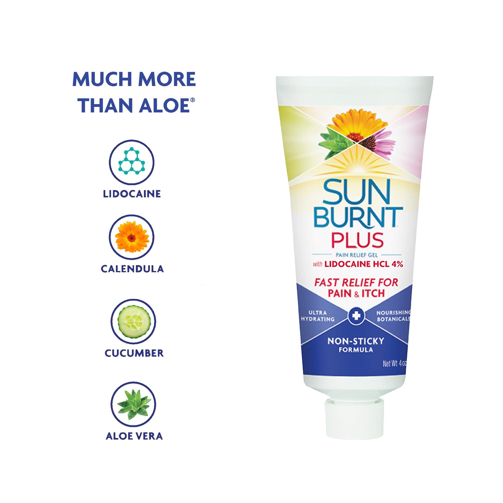 Sunburnt Plus echinacea flowers convey calming plant support for irritated skin.