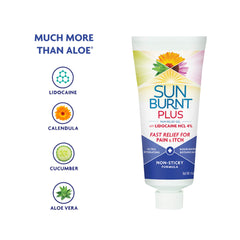 Sunburnt Plus echinacea flowers convey calming plant support for irritated skin.