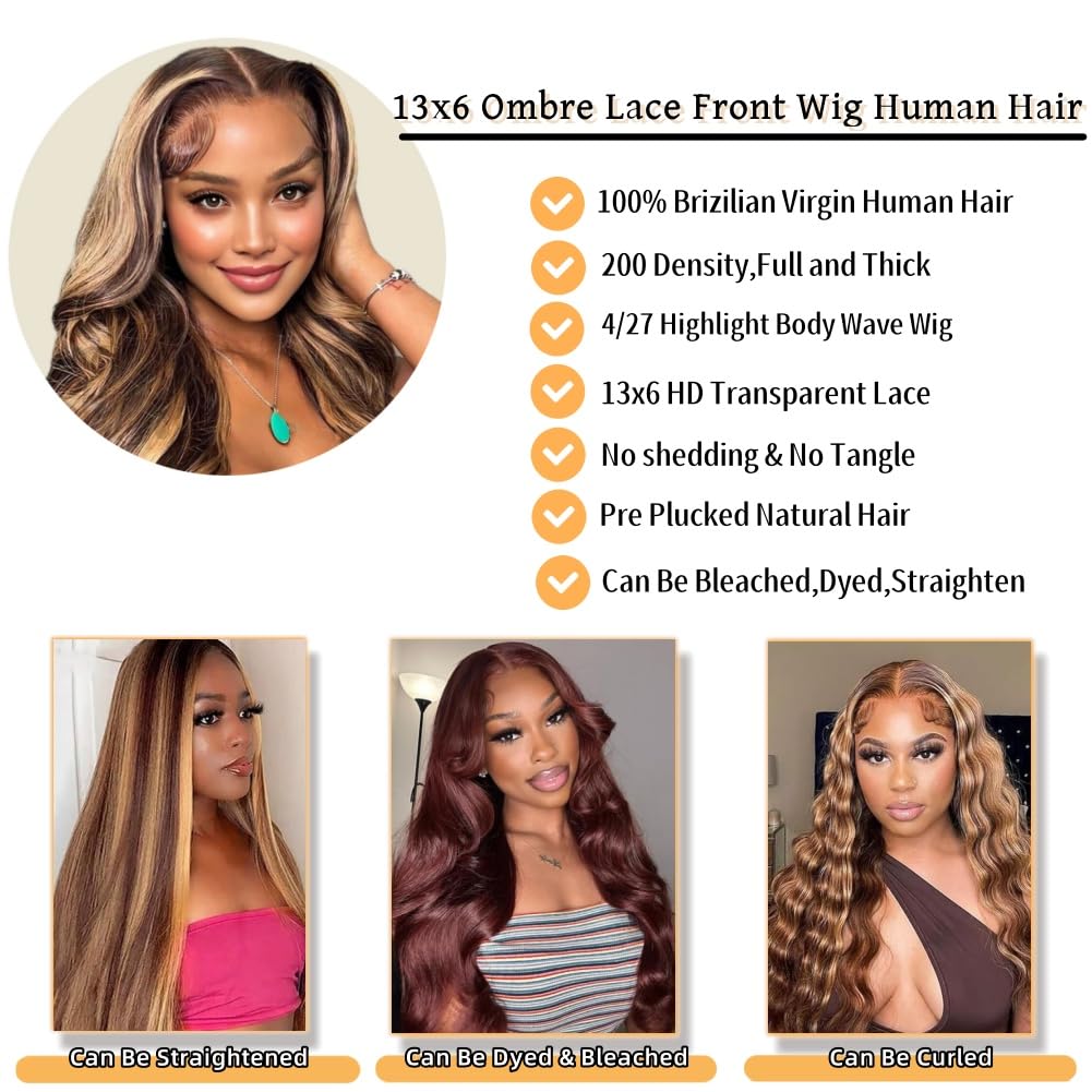 Sunelk Honey Blonde Ombre wig back view highlighting length and waves