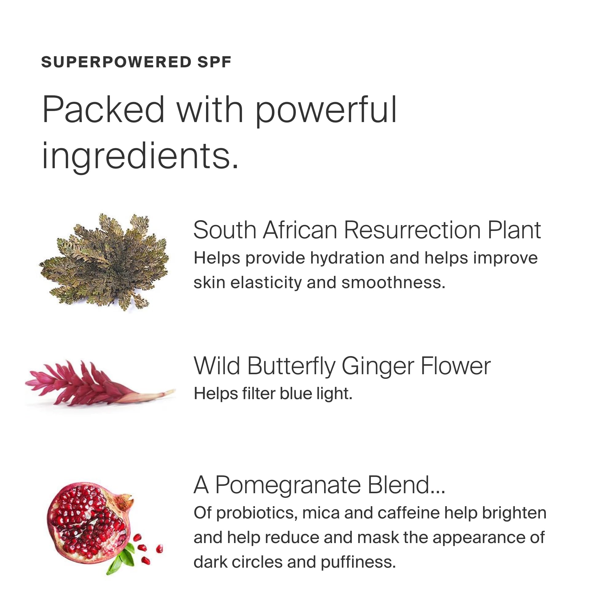 Illustrating resurrection plant, butterfly ginger, and pomegranate in the Bright-Eyed formula.
