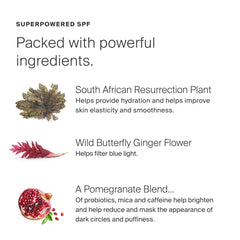 Illustrating resurrection plant, butterfly ginger, and pomegranate in the Bright-Eyed formula.