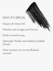 Sweed Lash Lift Mascara on lashes demonstrates lift, length, and glossy finish.