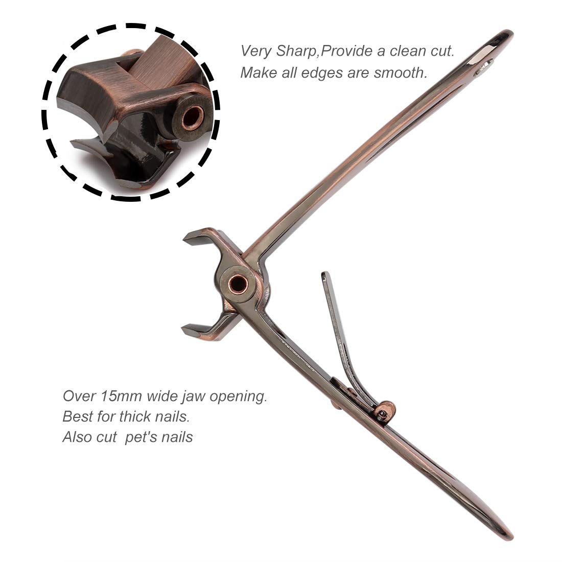 SZQHT stainless steel close-up highlighting sharpness and precise cutting performance.