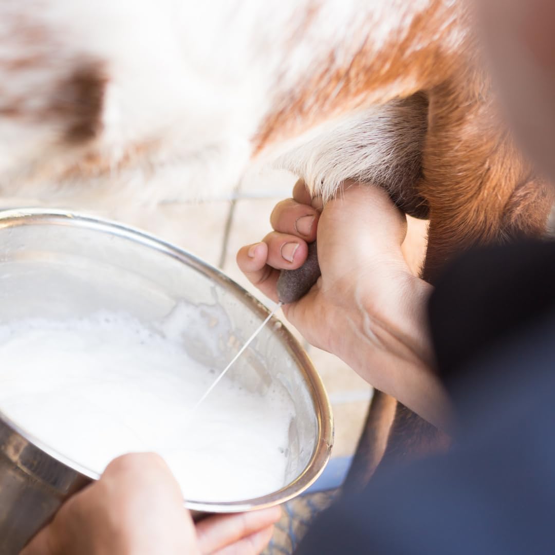 Tallow & Goat Milk packaging highlights eco-friendly, recyclable materials.