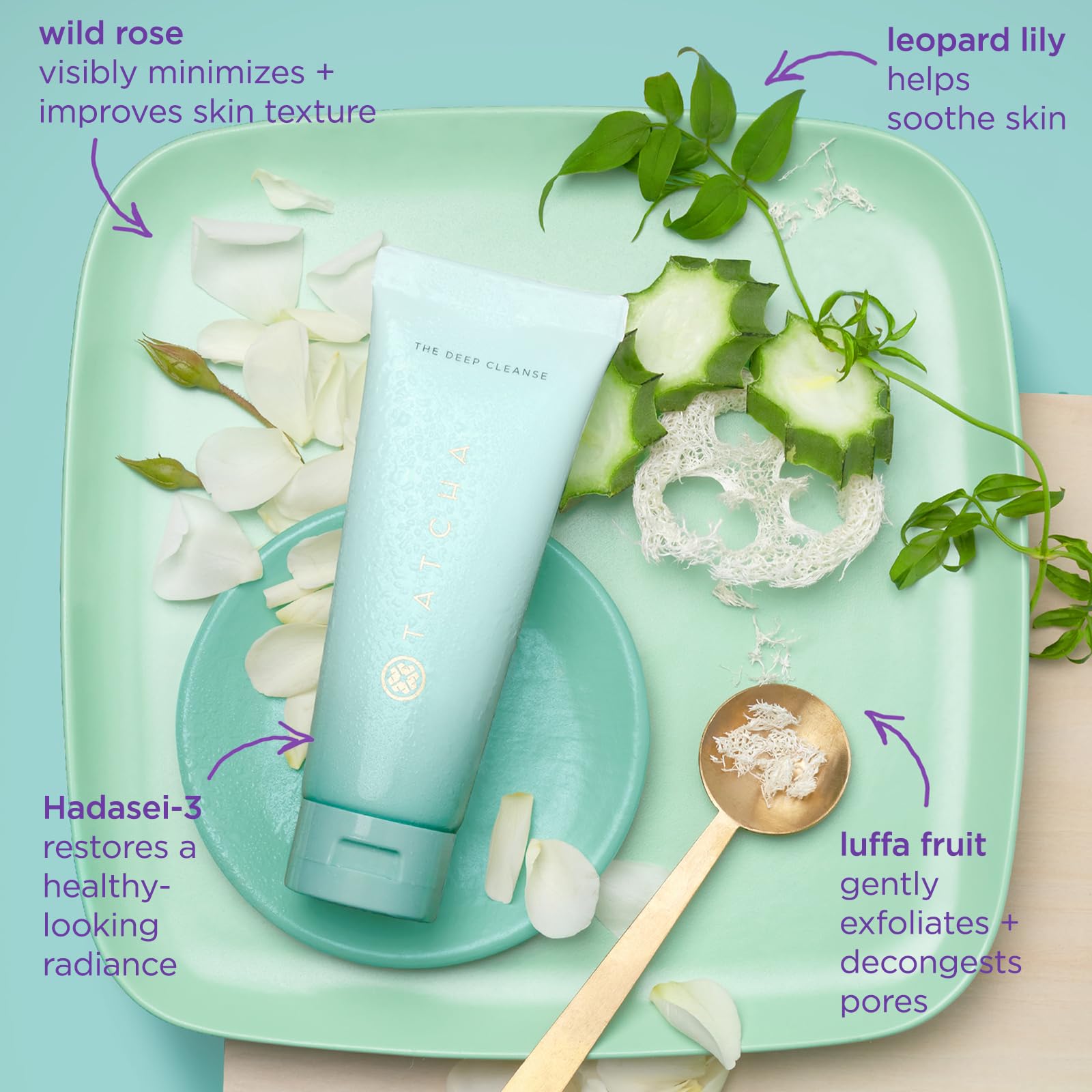 Tatcha Deep Cleanse product shot communicates premium daily cleansing ritual