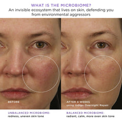 TATCHA Indigo Overnight Repair applying-on-skin demonstrates nighttime soothing benefits without fragrance.