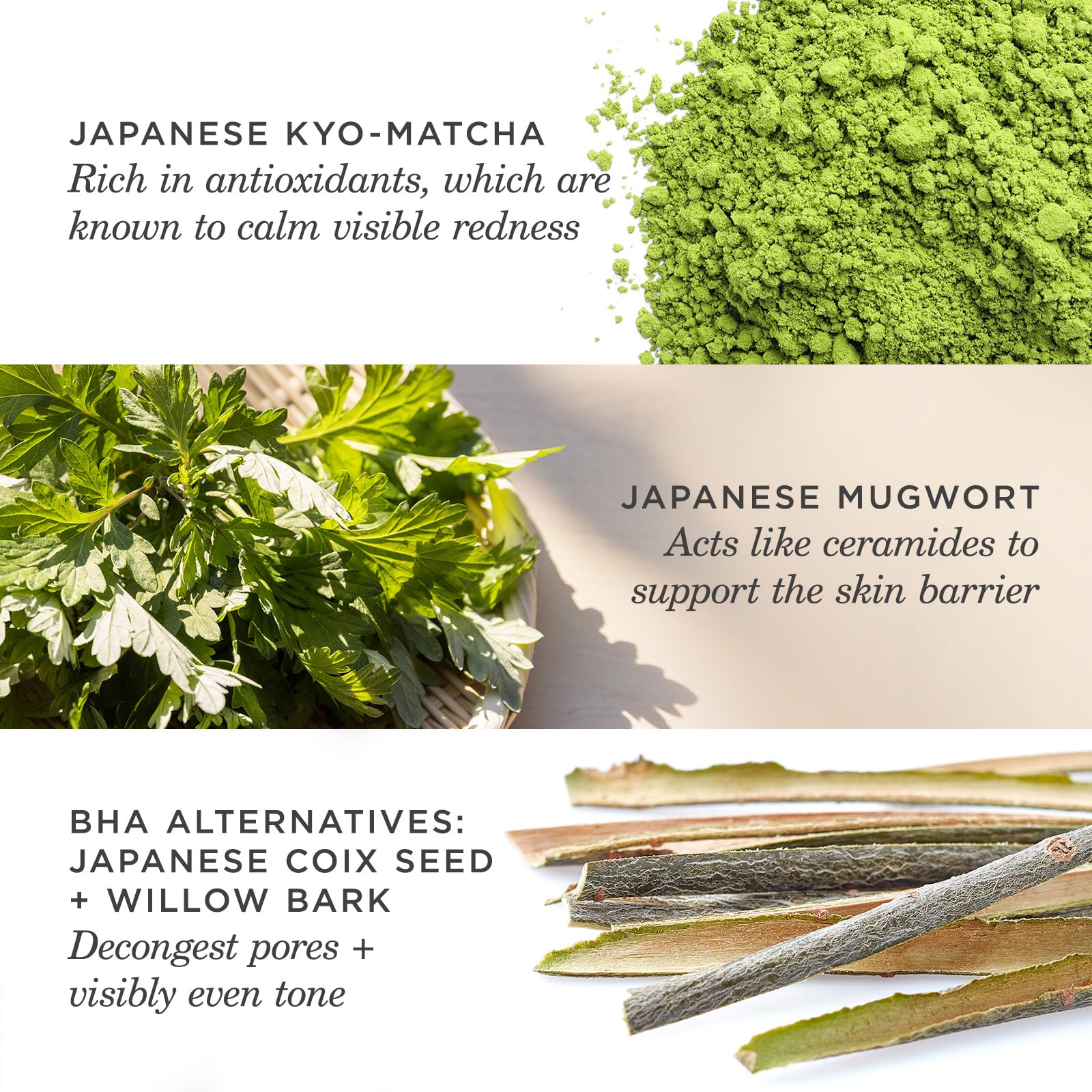 TATCHA The Matcha Cleanse oil balance closeup, helps balance shine during the day.