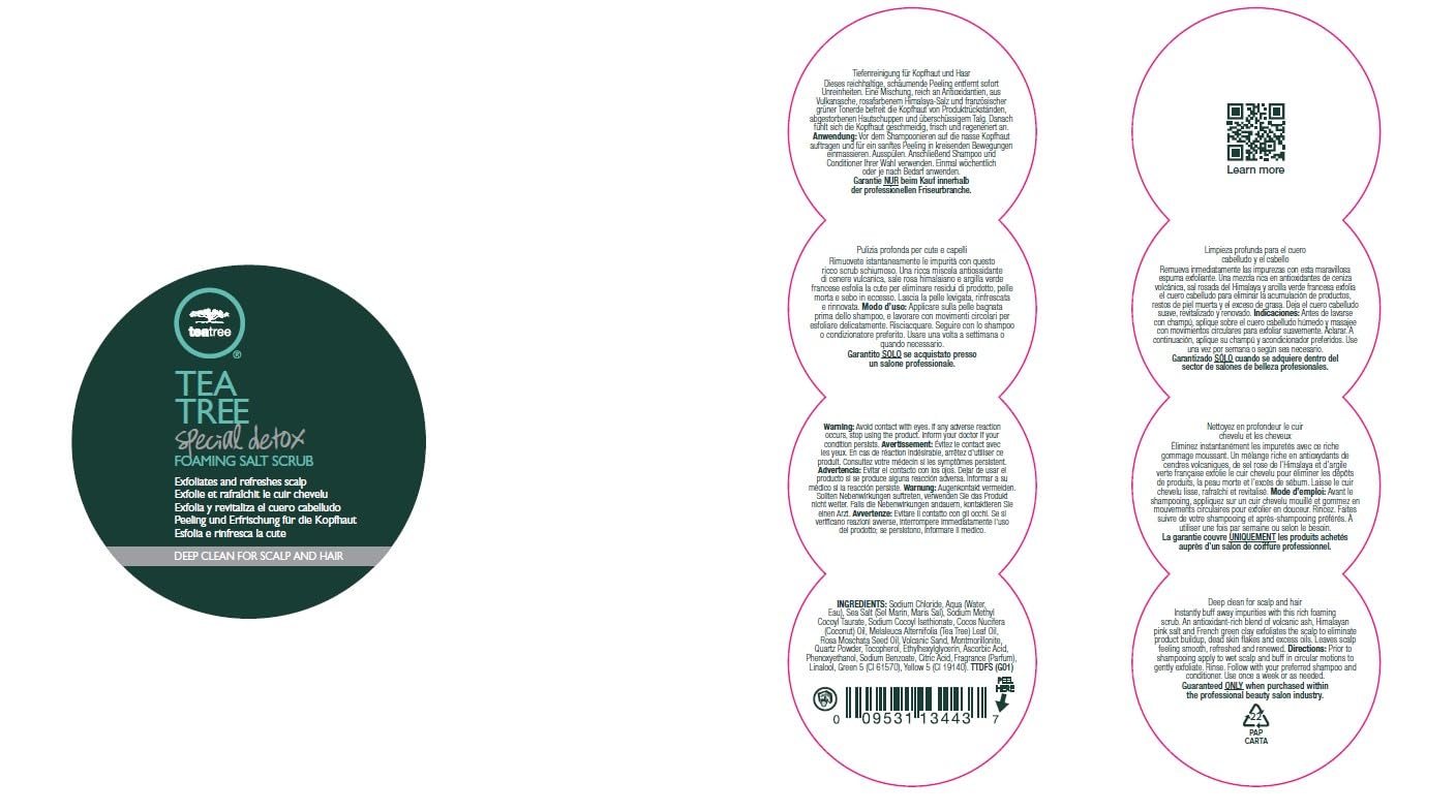 Tea Tree Special Detox Foaming Salt Scrub packaging variation image hints at updated design