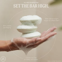 Tea Tree Special Shampoo Bar disc-shaped form ready for travel and daily use.