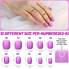 Teenitor matte nails in 12 colors offer versatile style options