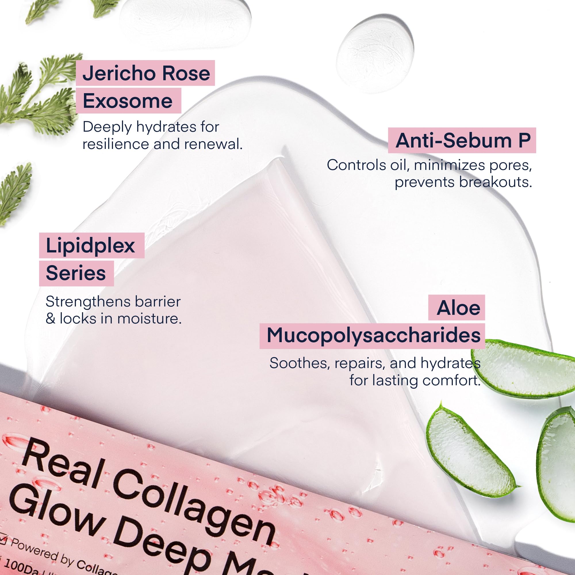 TEREZ & HONOR Fragrance-free glow from overnight hydration