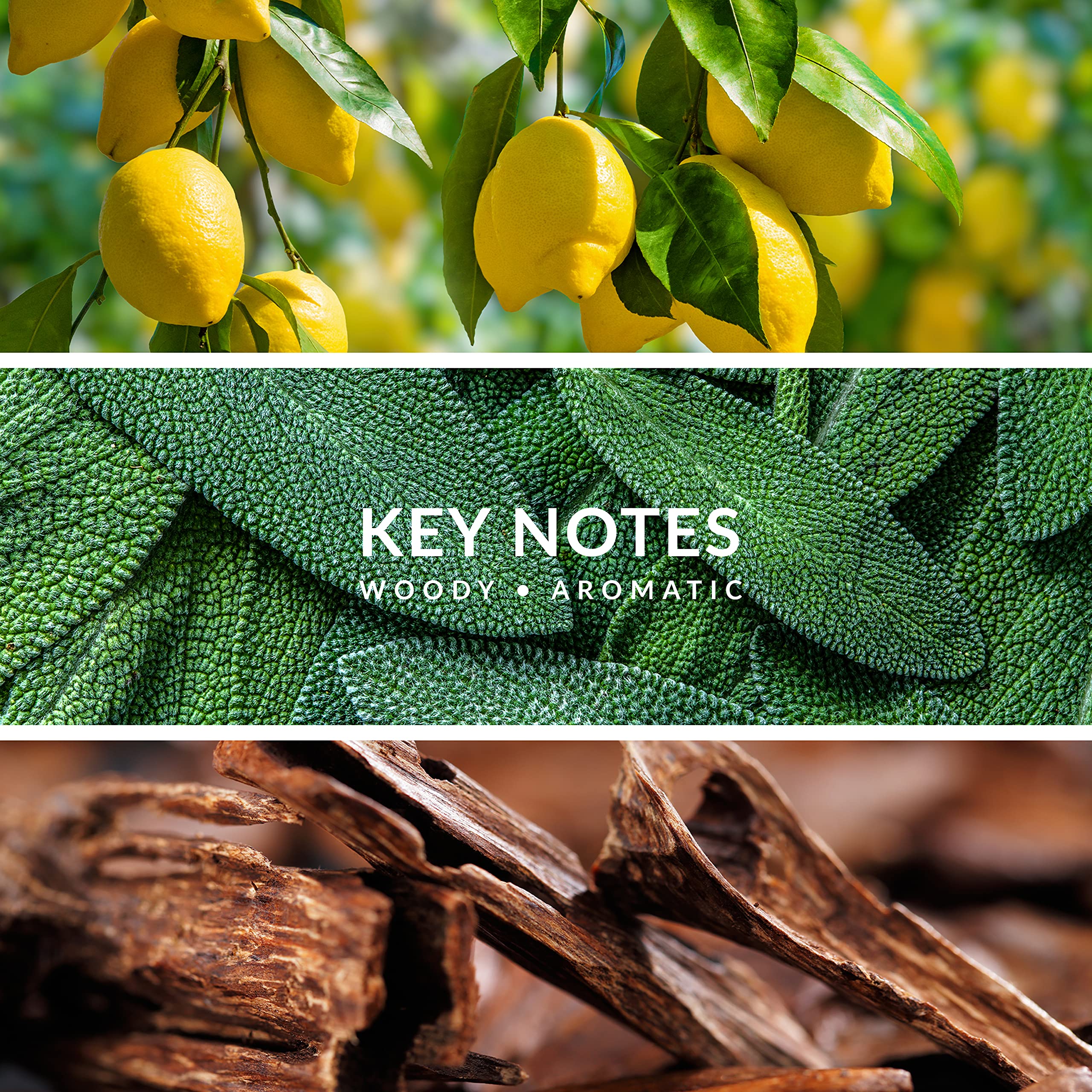 Territoire Blue-packaging showcases premium, gift-ready presentation