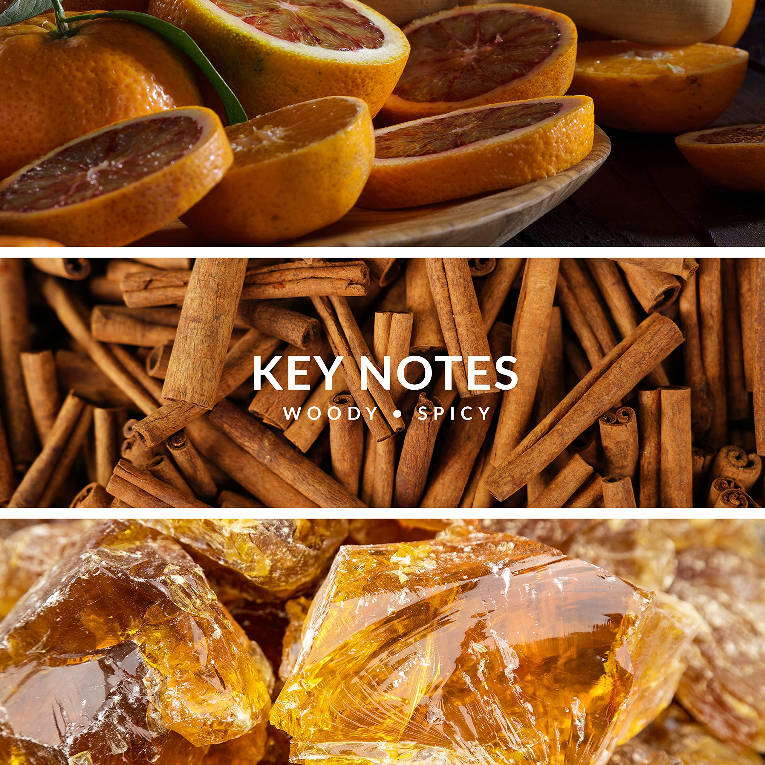 Territoire Gold 79 base-notes leather image communicates lasting presence.