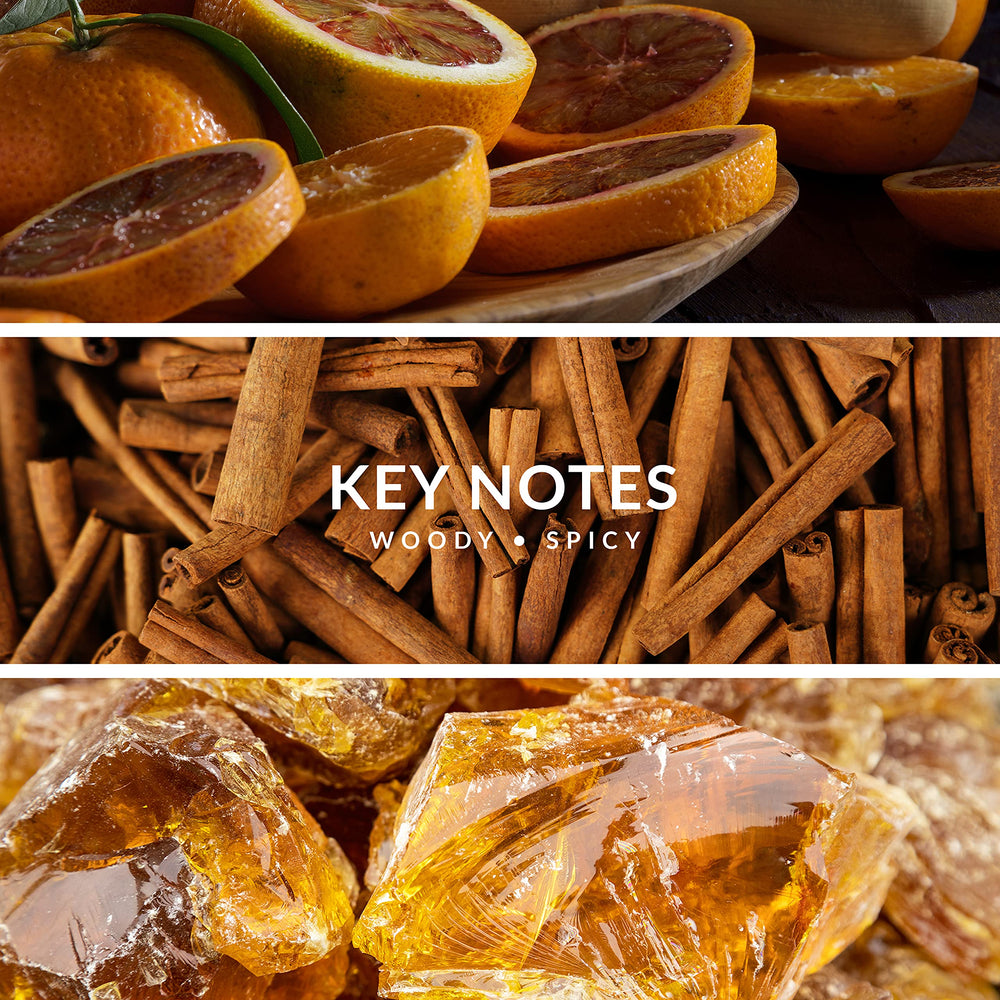 Territoire Gold 79 base-notes leather image communicates lasting presence.
