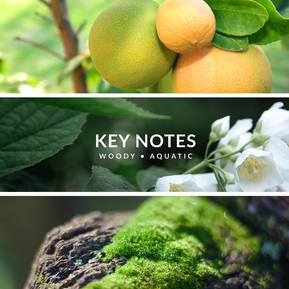 Territoire Platinum fragrance-application, demonstrates how to apply to pulse points for best effect.