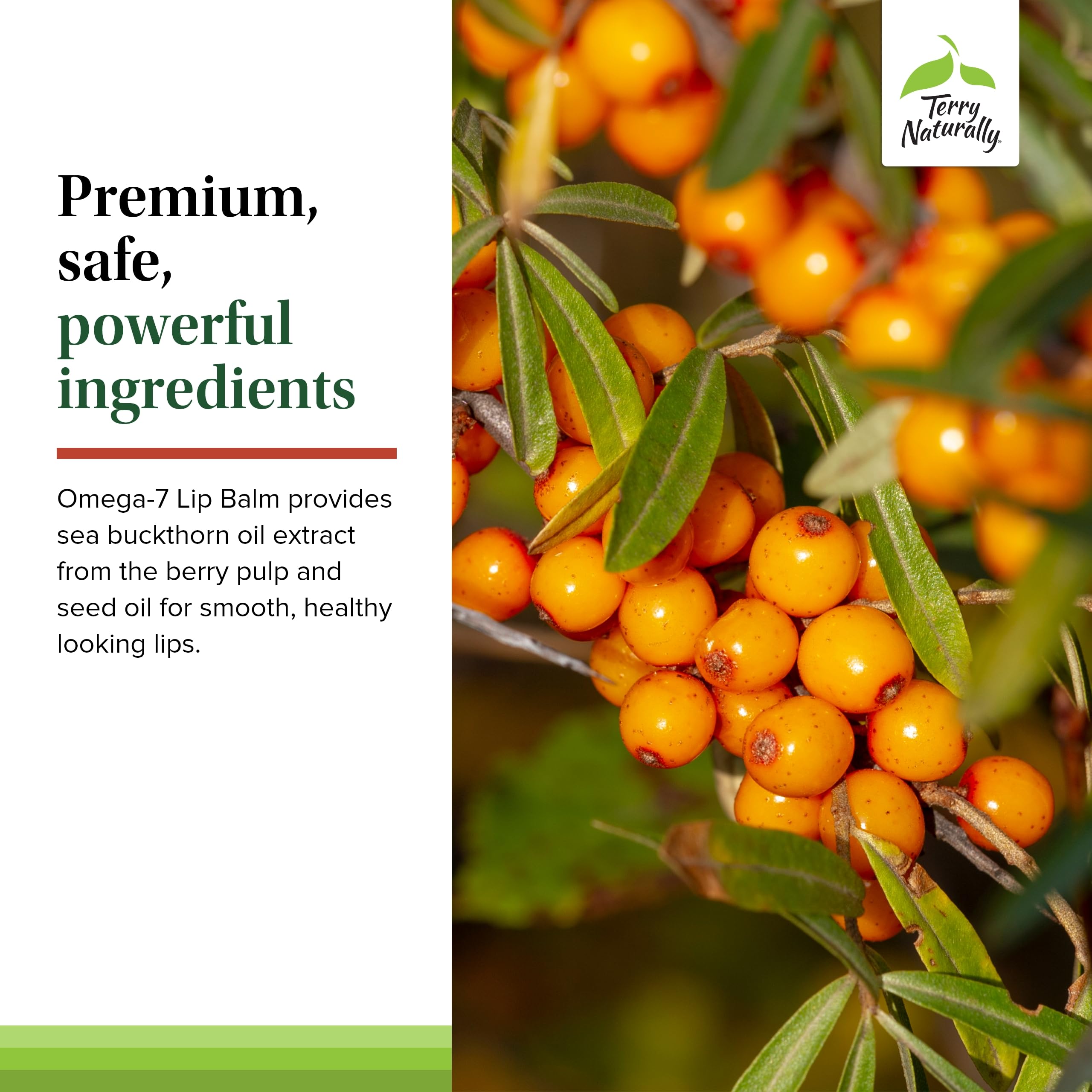 Terry Naturally Omega 7 Lip Balm coconut oil component emphasizes deep hydration.