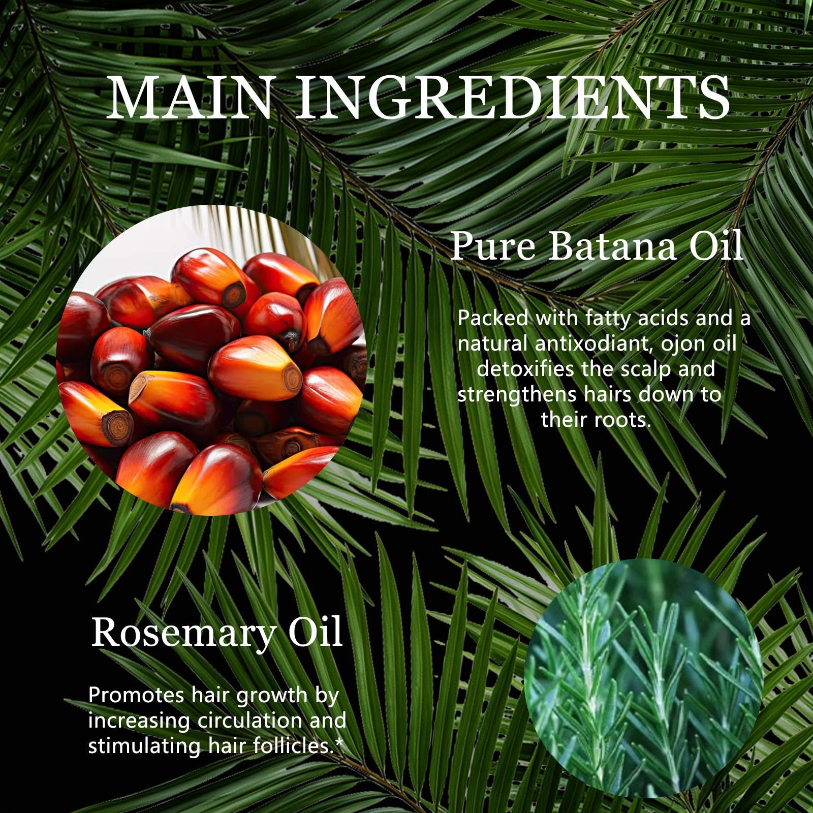 Tgideas Rosemary Batana Oil on hair demonstrates smoother texture and shine.
