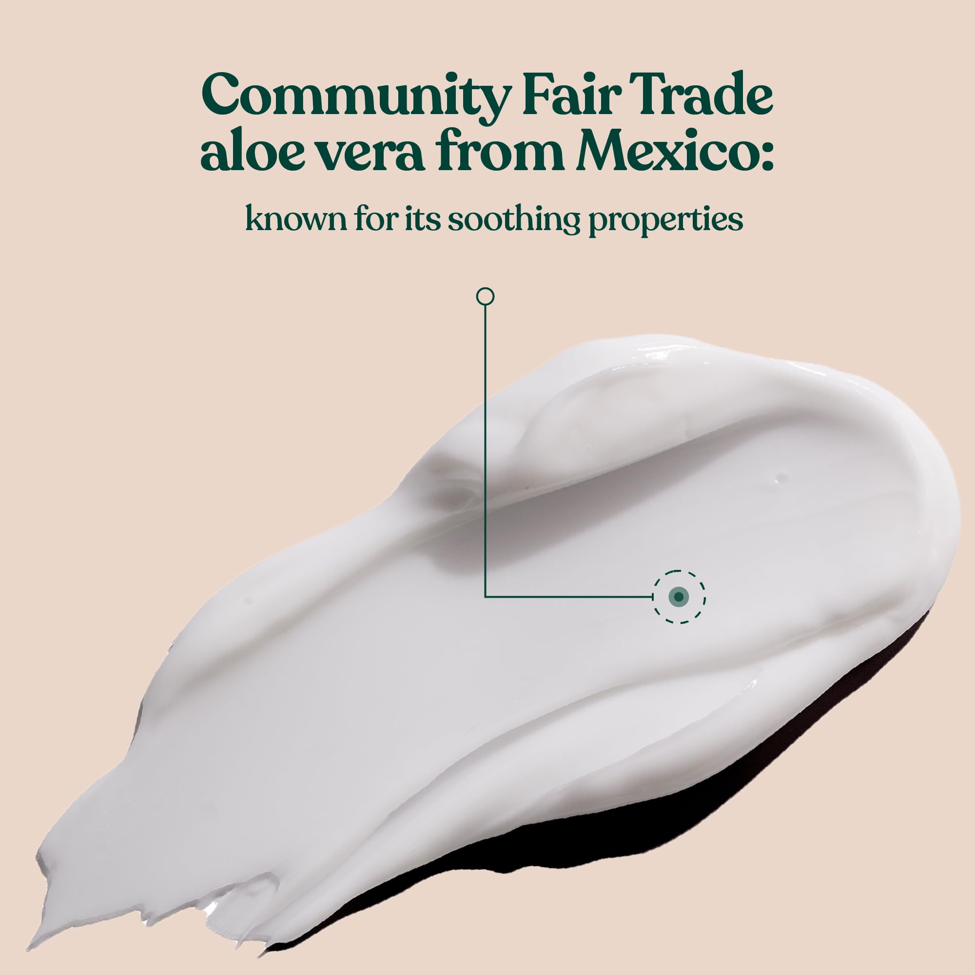 The Body Shop Aloe Vera Day Cream application gesture illustrating gentle daily use.
