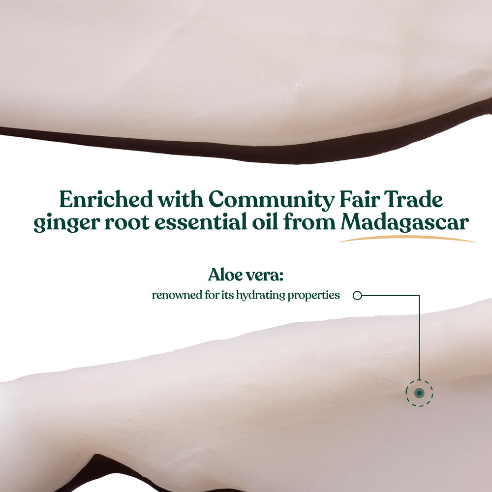 The Body Shop Ginger Scalp Care Conditioner being applied to scalp shows a multi-step routine benefit.