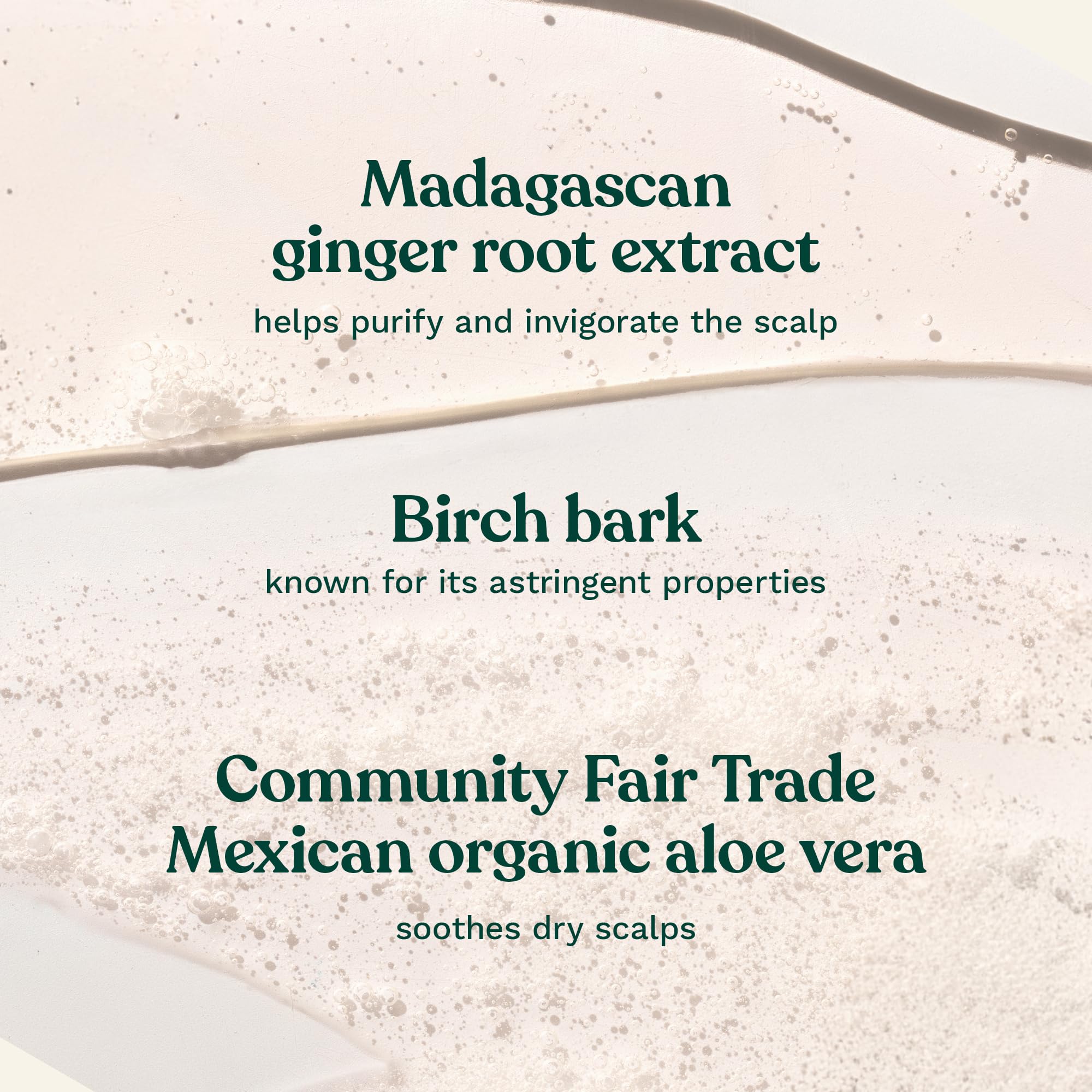 The Body Shop Ginger Scalp Care Conditioner cream-like texture close-up