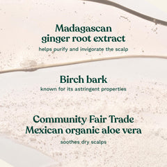 The Body Shop Ginger Scalp Care Conditioner cream-like texture close-up