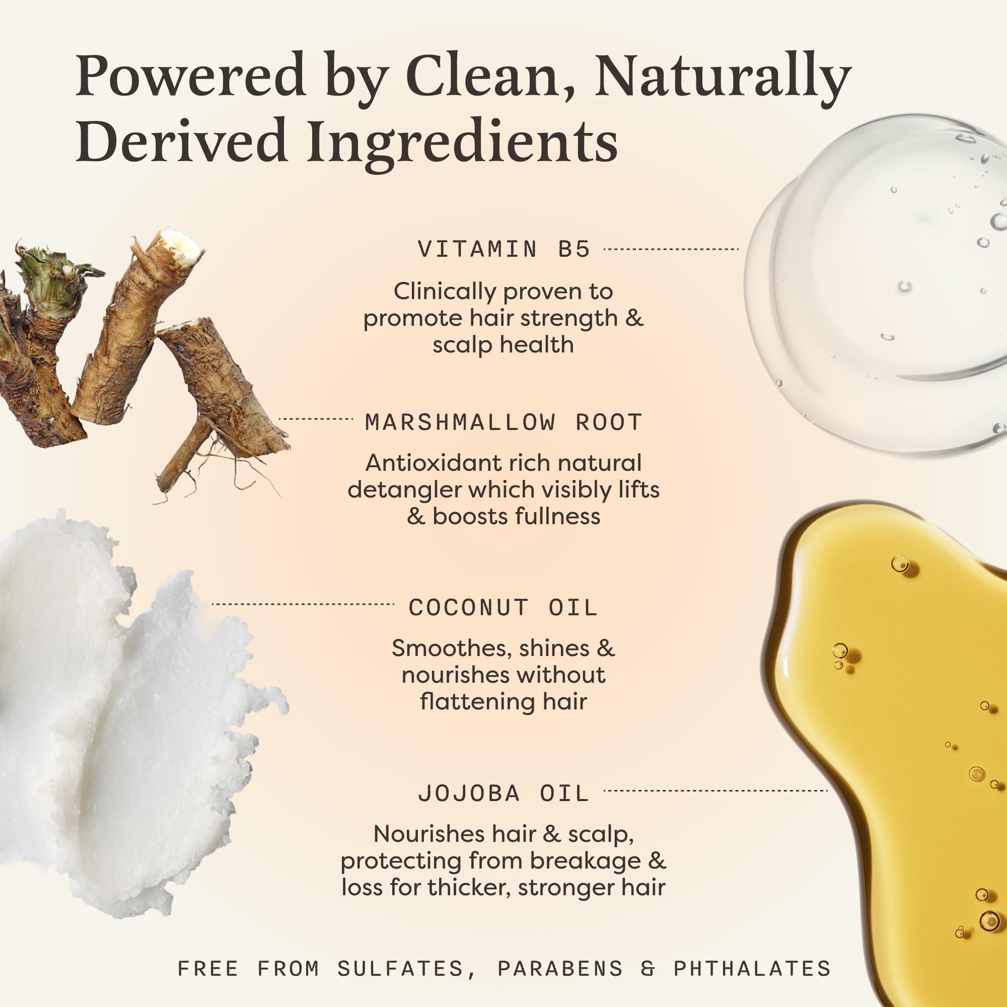 The Earthling Co. Shampoo Bar dry-hair-moisture image emphasizes lightweight hydration and shine.