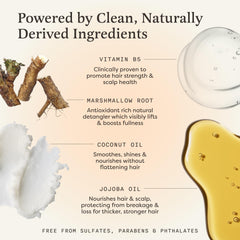 The Earthling Co. Shampoo Bar dry-hair-moisture image emphasizes lightweight hydration and shine.