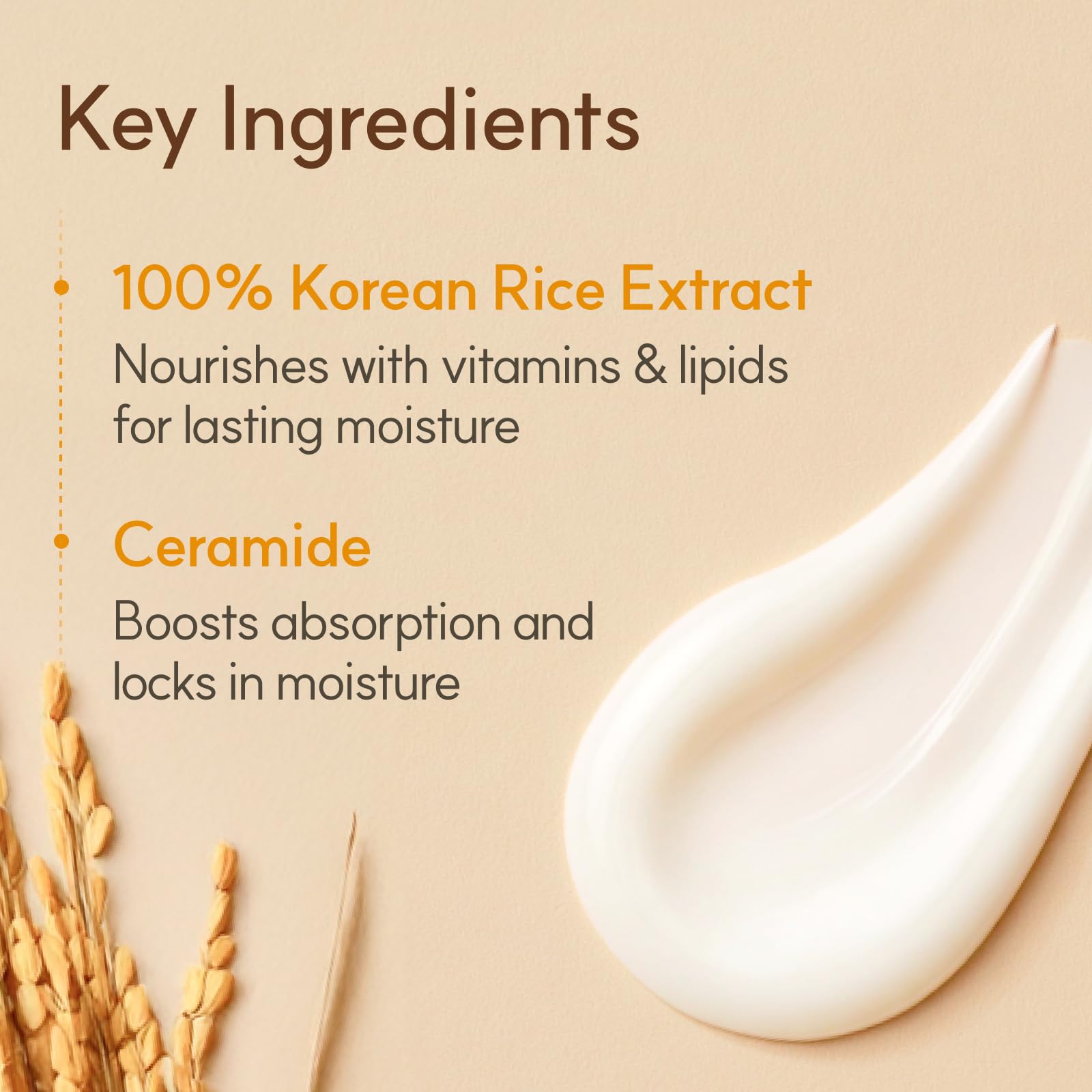 The Face Shop rice-ceramide-cream-ingredients highlights ceramides and rice extracts for hydration.