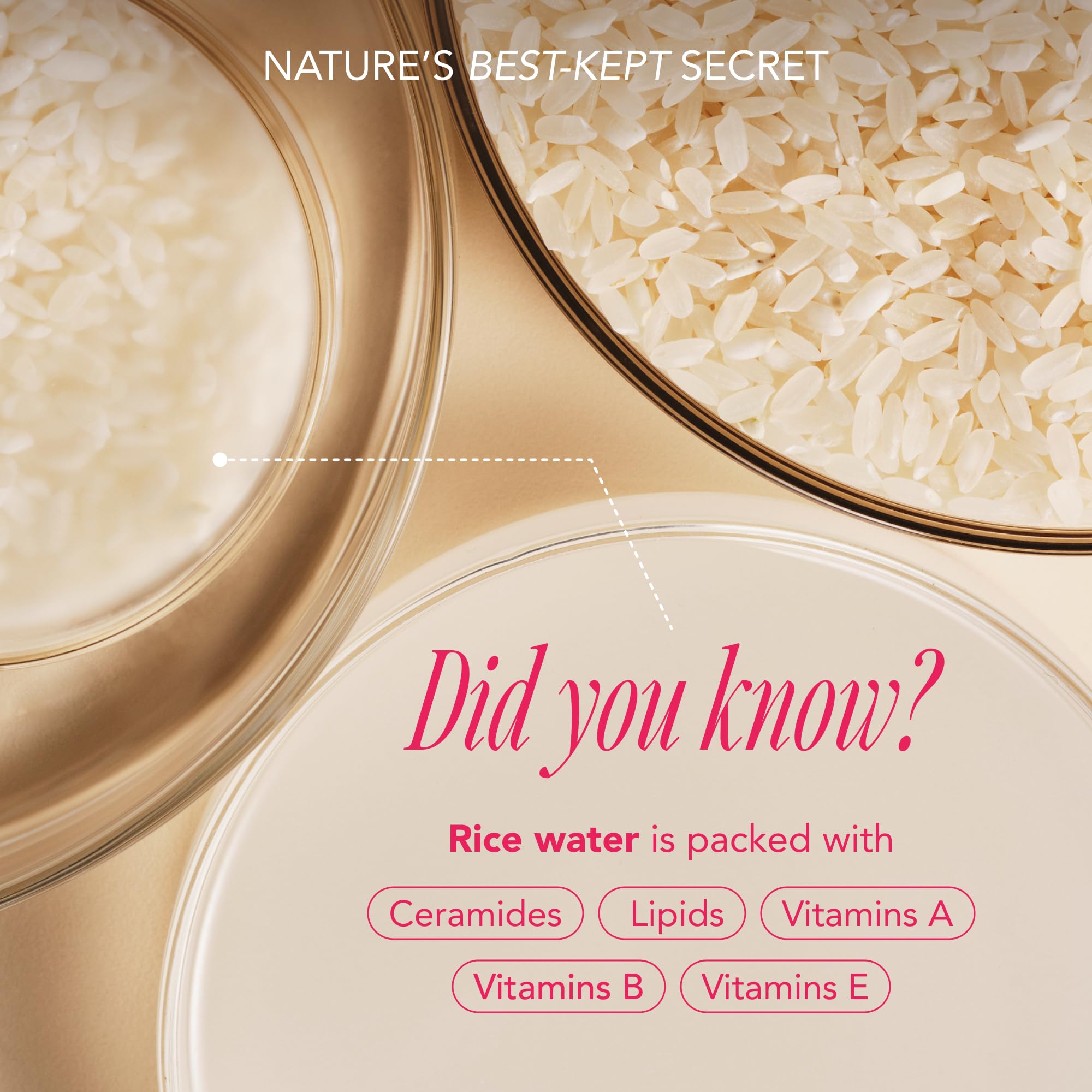 Detalle de ingredientes clave de The Face Shop Rice Water Bright.