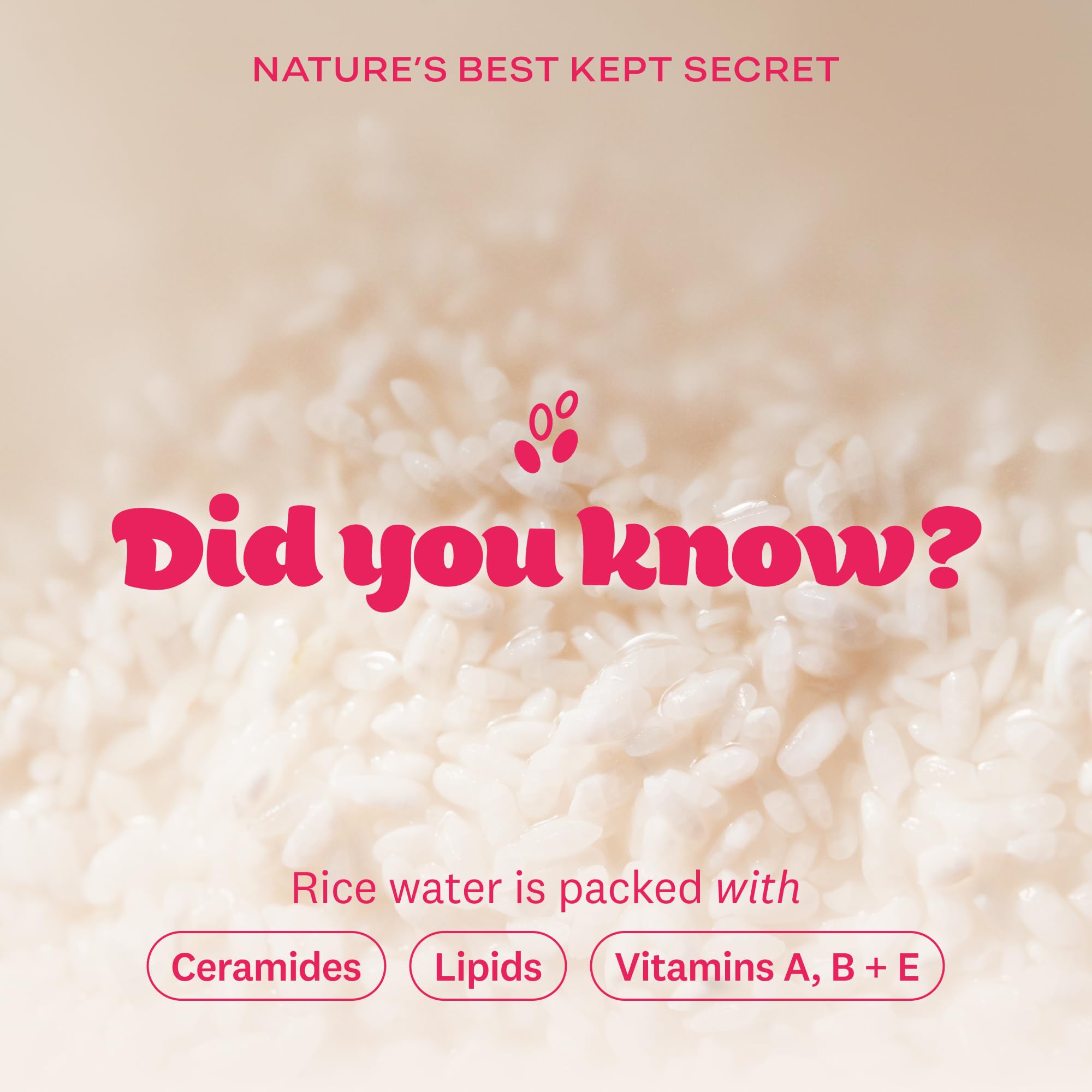 The Face Shop Rice Water Bright cleanser pump bottle ready for daily makeup removal and hydration.