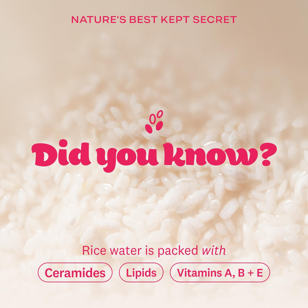 Korean skincare heritage showcased by The Face Shop Rice Water Bright packaging and design.