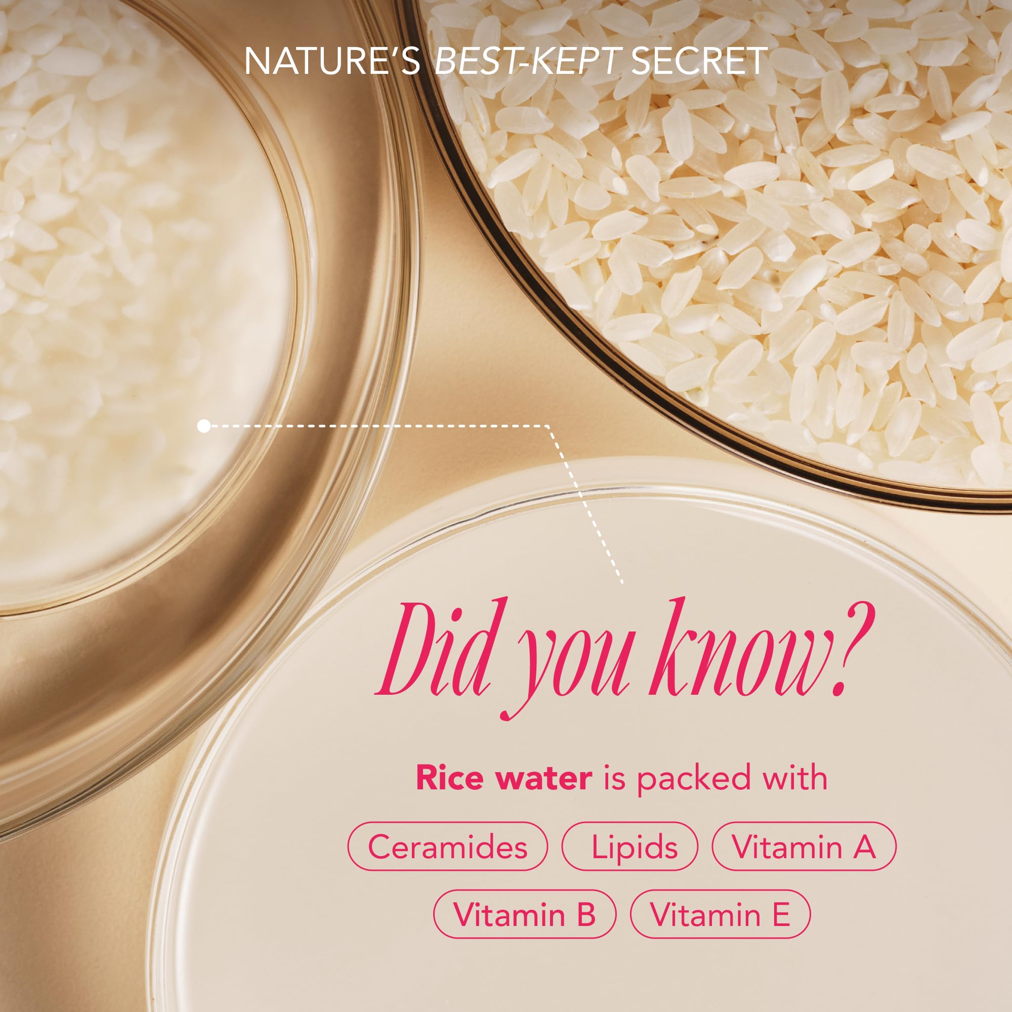 The Face Shop Rice Water Bright Travel Kit foaming cleanser reveals rich lather for pore-clearing routine.
