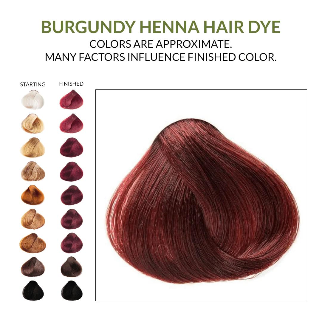 The Henna Guys burgundy beard and hair color mix demonstrates versatile usage.