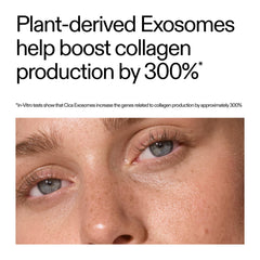 Key ingredients in The INKEY List Exosome Hydro-Glow Complex promoting skin health.