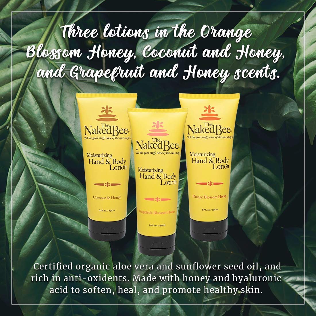 The Naked Bee coconut honey hand lotion 3-pack tube highlights tropical-inspired care.
