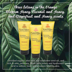 The Naked Bee coconut honey hand lotion 3-pack tube highlights tropical-inspired care.