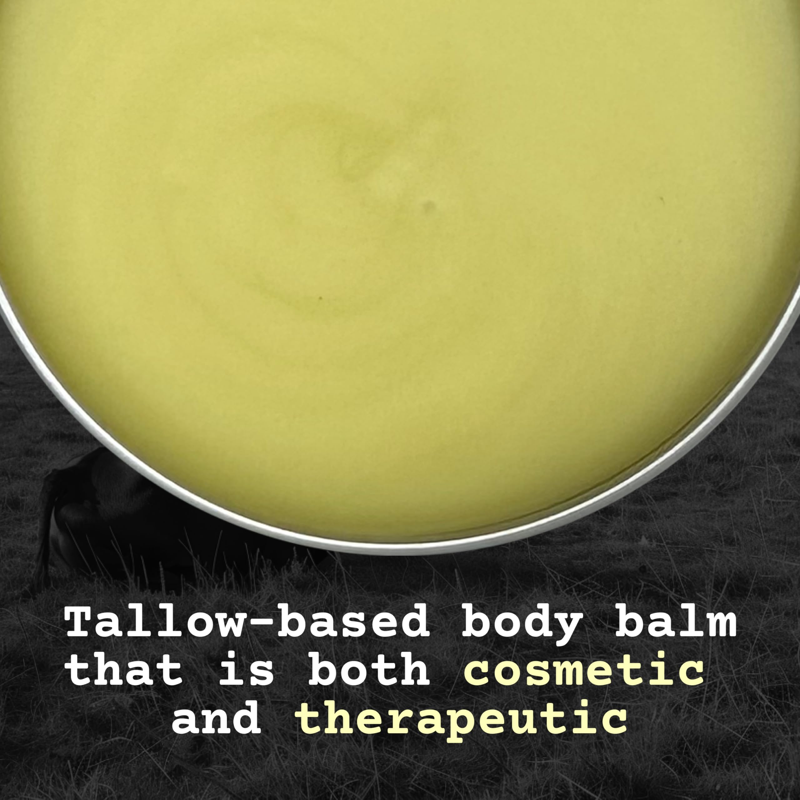 The Tallowed Truth F-Balm two-pack tins on shelf show budget-friendly moisture kit