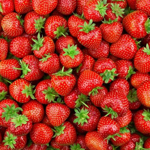 the body shop strawberry body mist fragrance mist over skin delivers fresh fruity vibes.